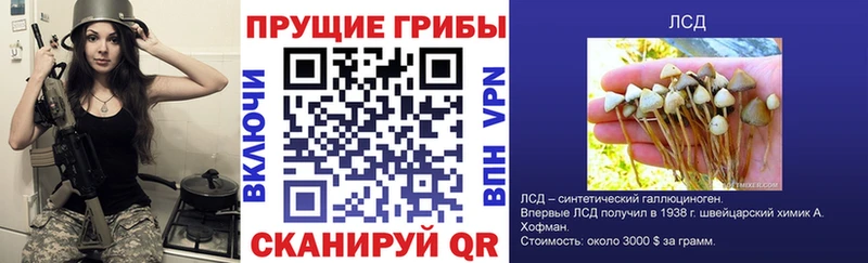 Галлюциногенные грибы Psilocybine cubensis  хочу наркоту  Отрадное 
